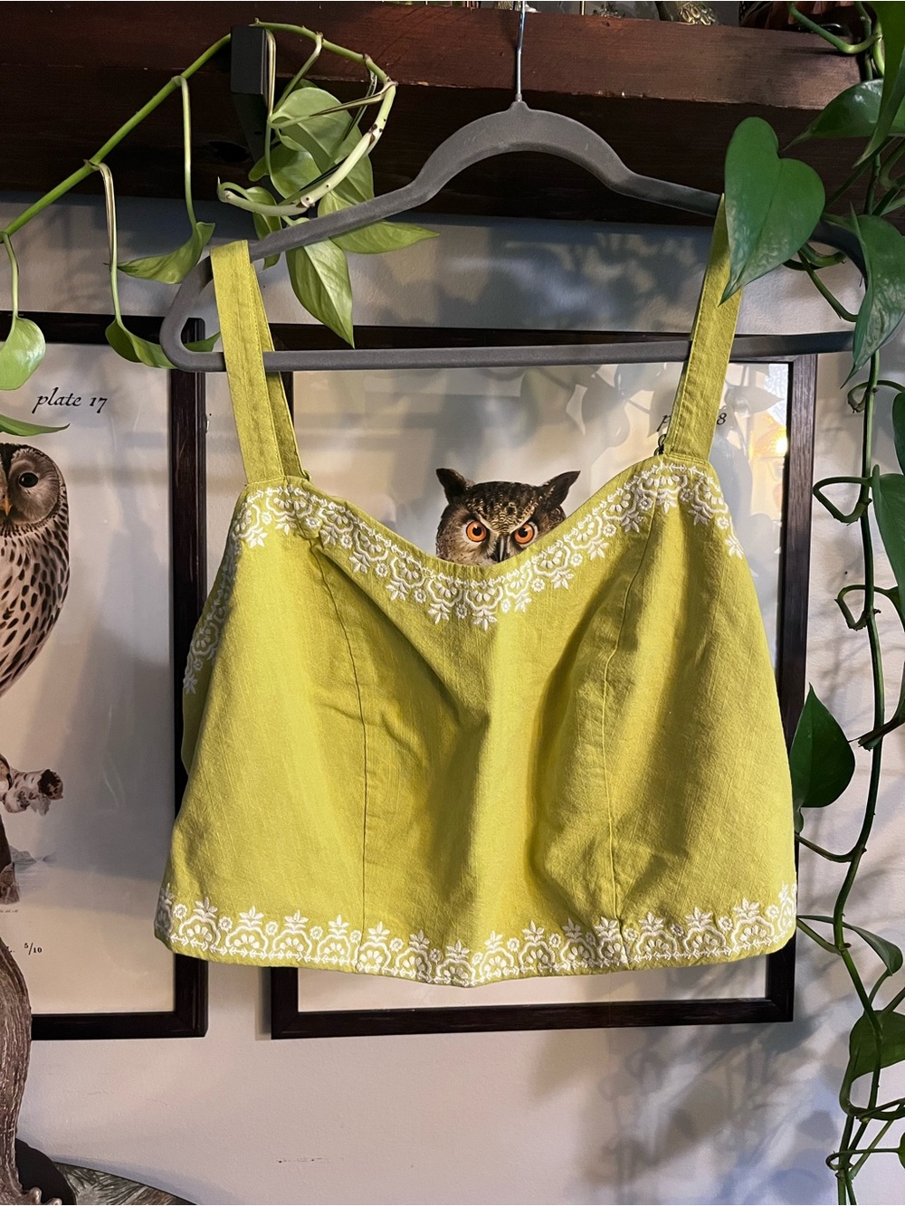 torrid Lime Green Crop Top